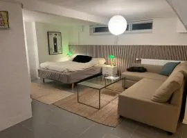 Large basement apartment in the middle of Odense