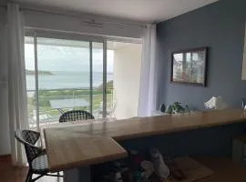 Sea view apartment, Center Audierne