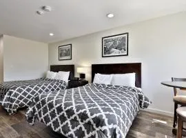 Renovated Studio #523