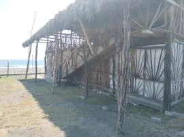 Las delicias del paraiso