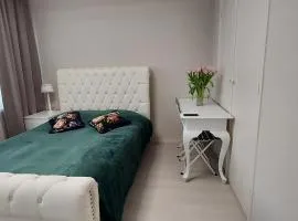 Cozy room in host house near Rotterdam