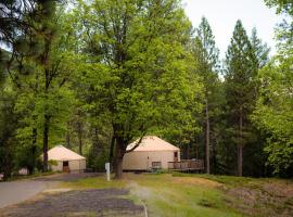 约塞米蒂湖区假日公园1号山畔圆顶帐篷，位于Harden FlatYosemite Hetch Hetchy Entrance附近的酒店