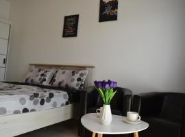 Studio C&L，位于Sînpetru的酒店