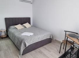 Studio cu o camera，位于Giurgiu的宠物友好酒店
