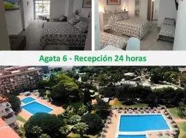 Agata 6 - 24h reception
