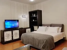 велика двокімнатна Данькевича