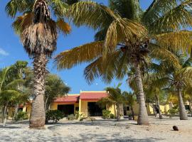 Beachfront department Celestun，位于塞莱斯通的酒店