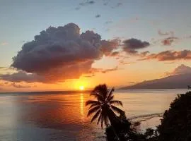 Maui Homestay Vue Océan Exceptionnelle & Baleines en Saison