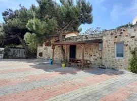 Bozcaada Yesilyol Tasev
