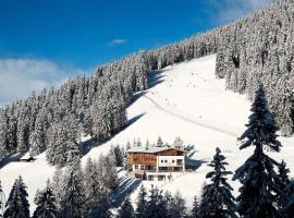 Alpine Hotel Gran Foda'，位于圣维吉利奥的酒店