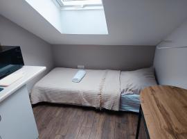 Fundacja Apartamenty Czterolistna Koniczyna，位于普热梅希尔的酒店