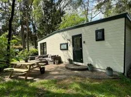 Fijn Boschalet Midden op de Veluwe, 2 fietsen