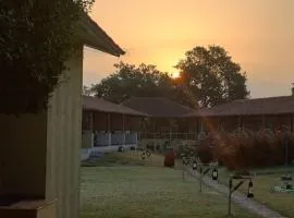 Asiatic Lion Lodge