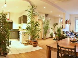 Chaleureuse maison Nancéienne，位于南希的酒店