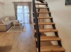 House 23 B2