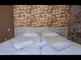Hotelsvaneti，位于Lentekhi的酒店
