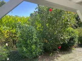 Bungalow 2 personnes Petit Bourg " La Bergetterie"