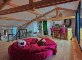Le Loft Paradise，位于蒙托邦的酒店