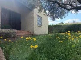 Maison d'architecte style provençale