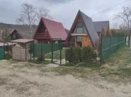Brvnara Beli Kamen 1