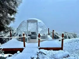 DomeRoom-Spa-Pool-Views-PlaySet-GameRoom-FamilyFun