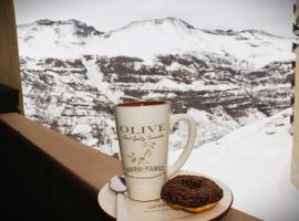 HOM I Studio SKI OUT 3PAX en Valle de Condores 1，位于法洛伦斯的酒店
