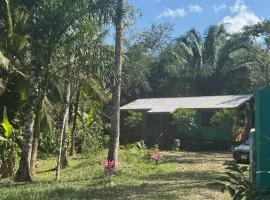Stunning Jungle Refuge Close to Town，位于Bullet Tree Falls的酒店