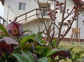 Casa Gheorghe，位于Balabancea的住宿