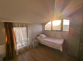 Family hotel，位于哥里的酒店