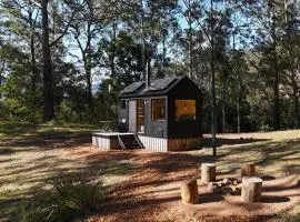 Secluded Off-Grid Cabin Deep in Nature - Gaia