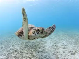 渡嘉敷海滨村落酒店