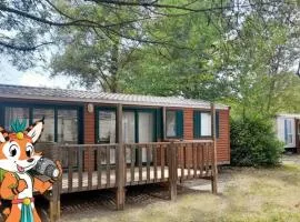 Camping 3 étoiles - Piscine - ccbaehg