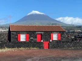 Ocean view in UNESCO Heritage Site