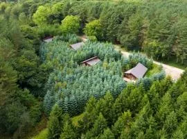 Delamere Forest Cabins - Forest Holidays