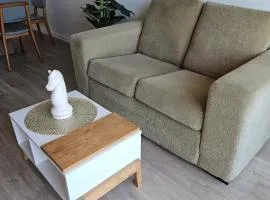 COZY APARTMENT, 1 HAB, Piscina, ZONA Shopping del Sol