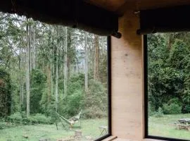 Cosy Off-Grid Cabin in Kangaroo Valley - Miguel