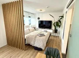 Das 1 Zimmer Apartment