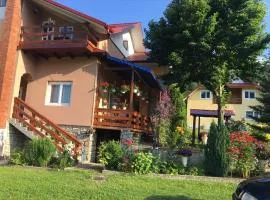 Complex de pensiuni si casute - Lac Bistricioara