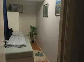 Room for rent in a shared apartment