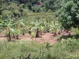 PT Jardin Farm