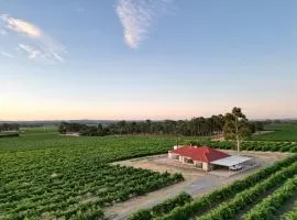 McGill Vineyard Barossa