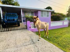 Purple Sunset - Walk to Malecon & Beaches，位于别克斯的酒店