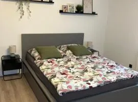 Apartment Anna