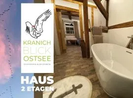 Historisches Bauernhaus für 8 Personen mit Luxus und Natur auf 2 Etagen ideal für Familien und Hunde 2500m2 eingezäunt an der Ostsee