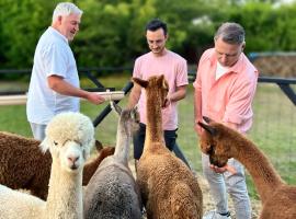 Nana Mac Chambre D'h&ocirc;tes，位于Limalonges的住宿