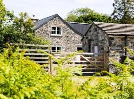 Nant y Rhedyn Newport