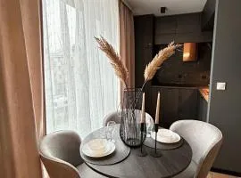 Apartamenty Kielce-CARMEL, Rynek, Sienkiewicza, centrum, fv, targi