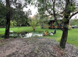 Private country 1 Bedroom Cabin，位于Landsborough的酒店