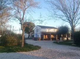 Mas Constantin