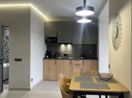 Свіжі апартаменти в центрі міста новобудові на Проскурівське підпілля 110а